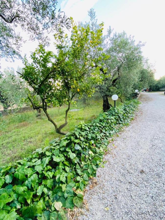 Cali-Formia B&B Exterior foto